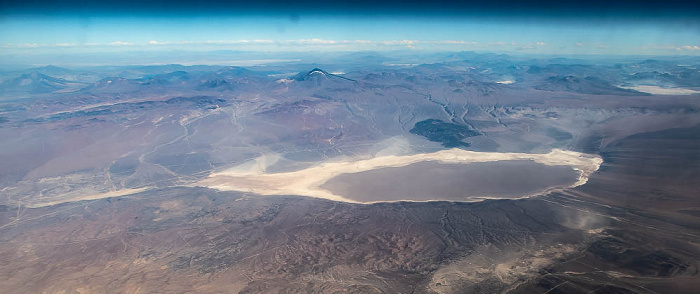 Salar Punta Negra Región de Antofagasta