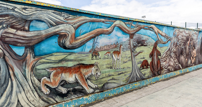 Estadio Municipal Víctor Bórquez Miranda: Street Art Puerto Natales