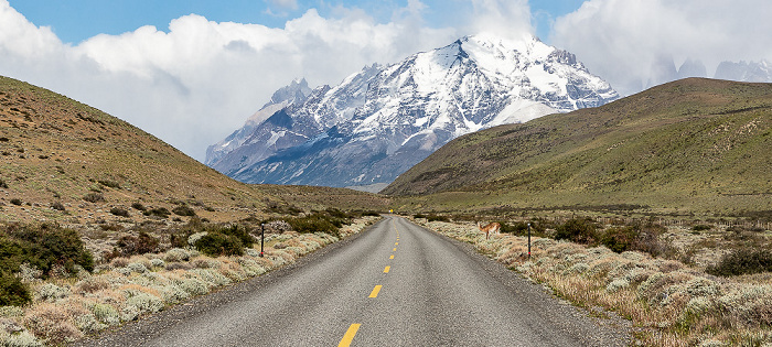 Provincia de Última Esperanza Ruta Y-156, Reserva de Biósfera Torres del Paine, Cordillera Paine mit dem Monte Almirante Nieto