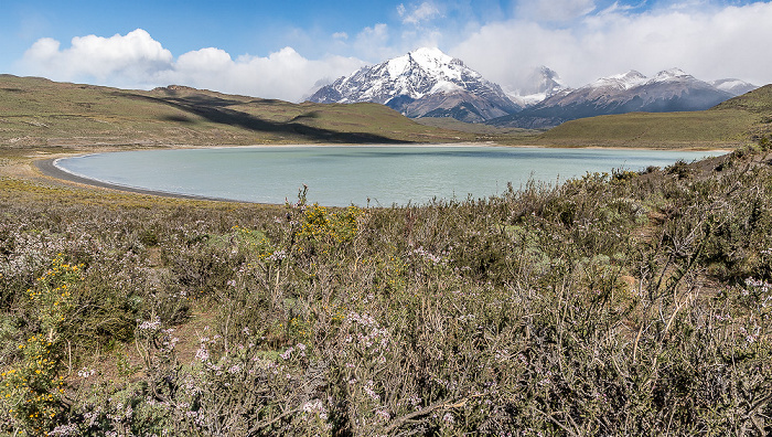 Provincia de Última Esperanza Reserva de Biósfera Torres del Paine: Laguna Amarga