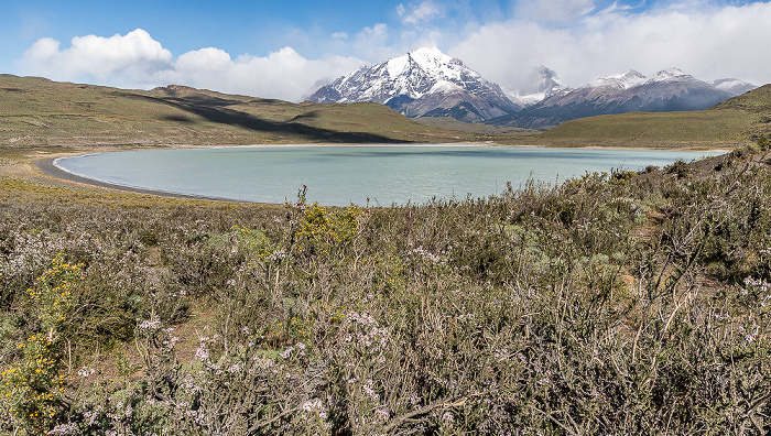 Reserva de Biósfera Torres del Paine: Laguna Amarga Provincia de Última Esperanza