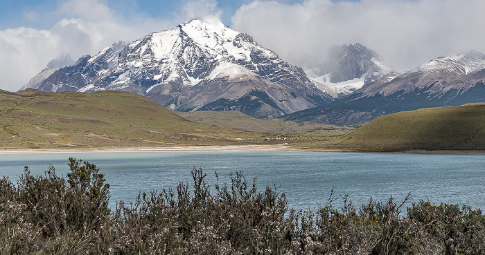 Provincia de Última Esperanza Reserva de Biósfera Torres del Paine: Laguna Amarga
