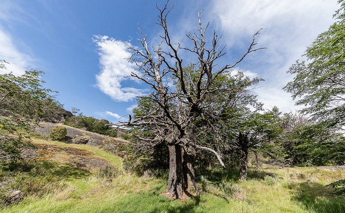 Monumento Natural Cueva del Milodón Provincia de Última Esperanza