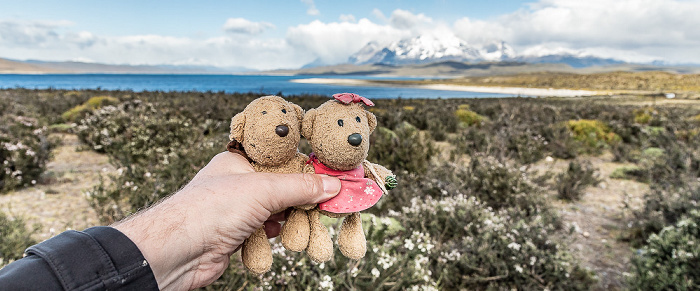 Parque nacional Torres del Paine Lago Sarmiento de Gamboa, Cordillera Paine - Teddy und Teddine