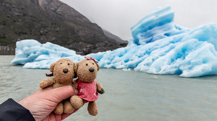 Parque nacional Torres del Paine Boot Lago Grey III: Teddy und Teddine
