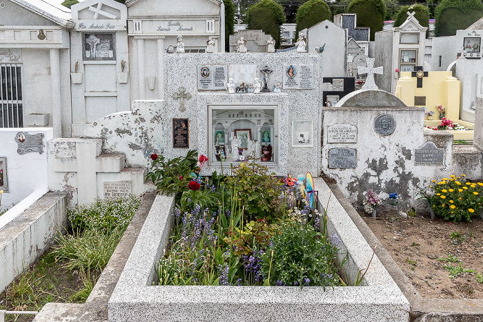 Punta Arenas Cementerio Municipal Sara Braun