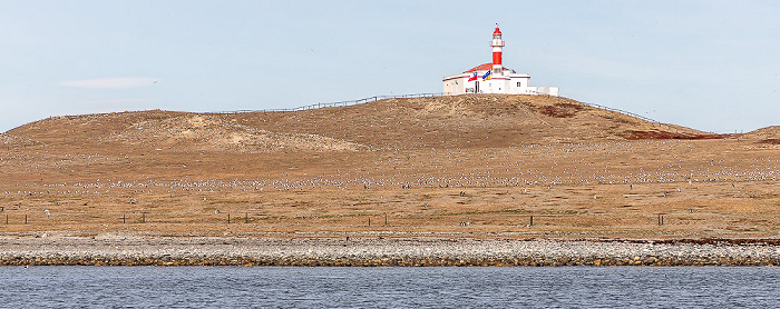 Magellanstraße Isla Magdalena