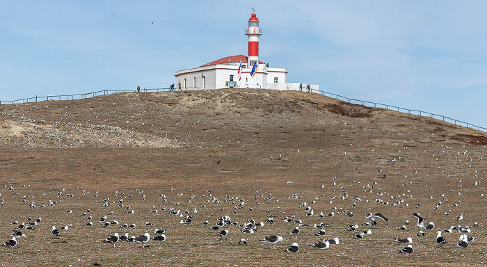 Faro Isla Magdalena Isla Magdalena