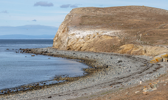 Isla Magdalena