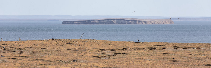 Isla Magdalena