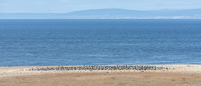 Isla Magdalena