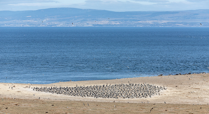 Isla Magdalena