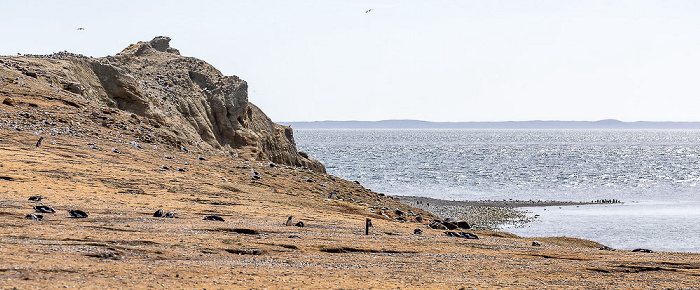 Isla Magdalena