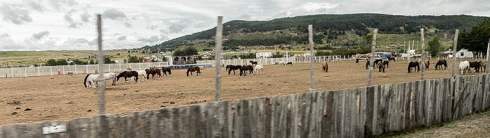 Península de Brunswick Ruta 9 Sur