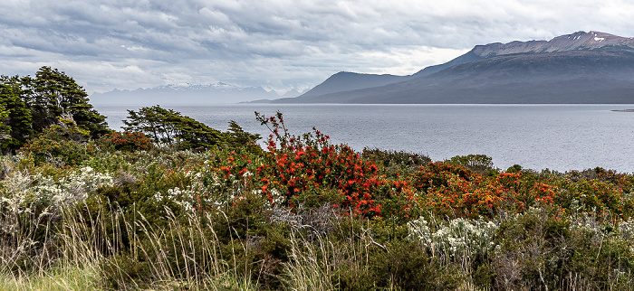 Parque del Estrecho de Magallanes Magellanstraße, Península de Brunswick mit Foca (links) und Monte Tarn