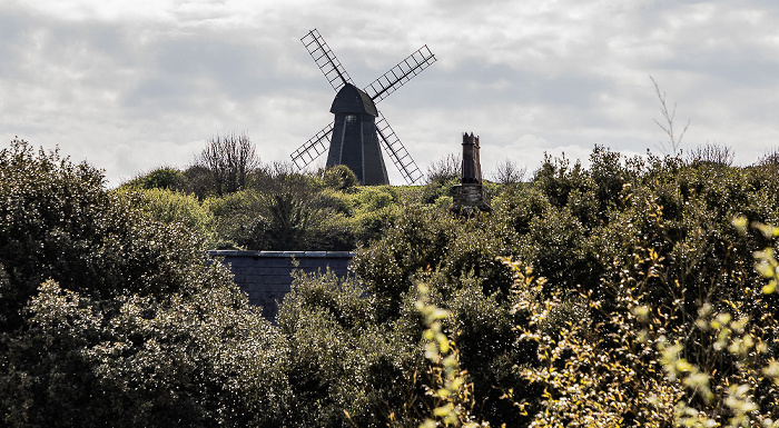 Beacon Hill Local Nature Reserve mit der Rottingdean Windmill Rottingdean