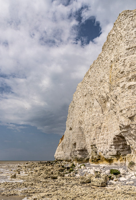 South Downs National Park Hope Gap, Klippen, Ärmelkanal (English Channel)