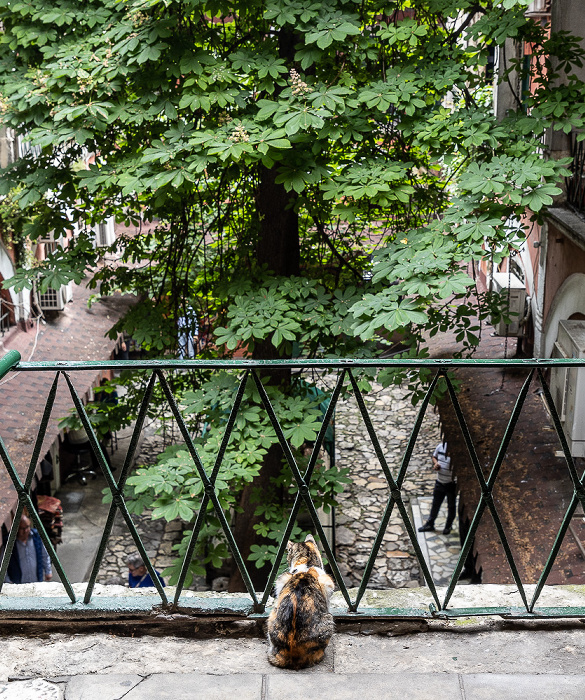 Istanbul Großer Basar (Kapalı Çarşı): Zincirli Han