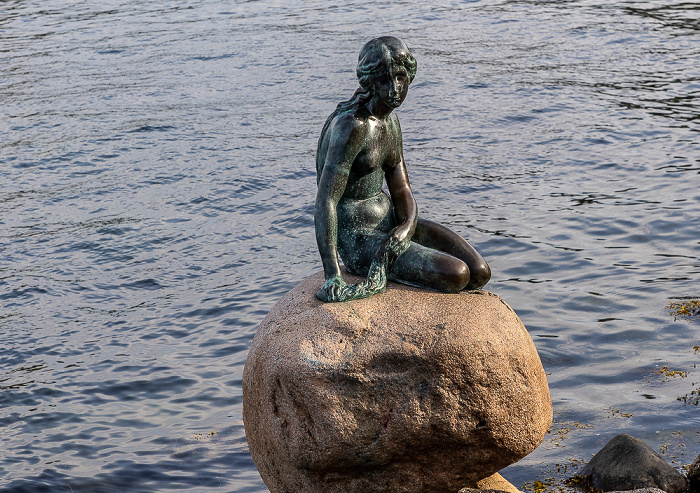 Den lille Havfrue (Kleine Meerjungfrau) Kopenhagen