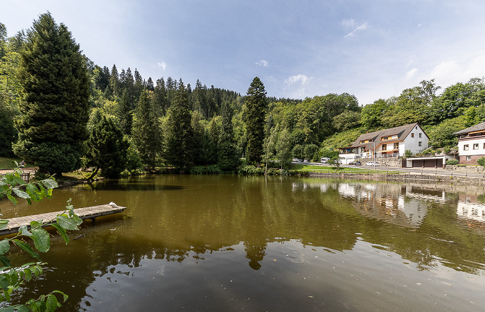 Bergsee Triberg