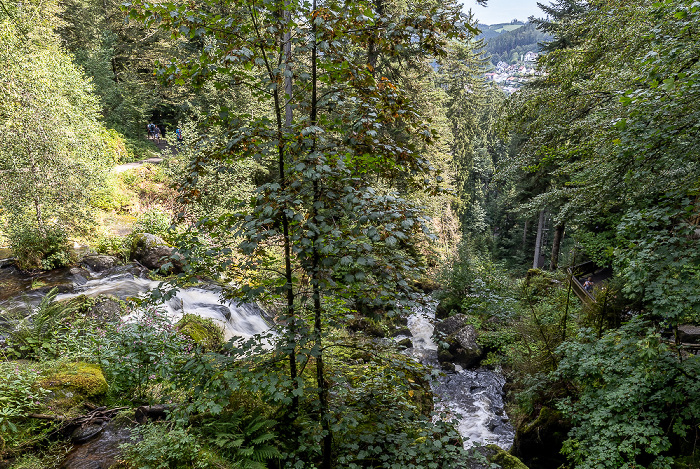 Triberger Wasserfälle Triberg