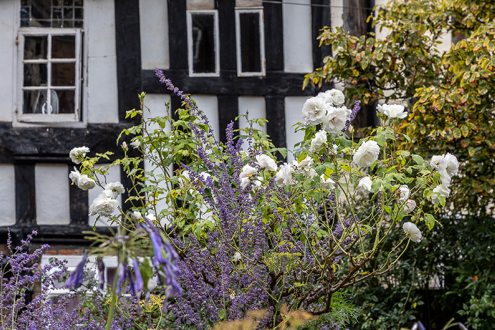 Herb Garden des Erasmus Darwin House Lichfield