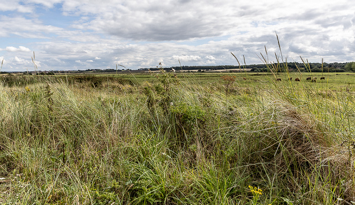 Holkham National Nature Reserve