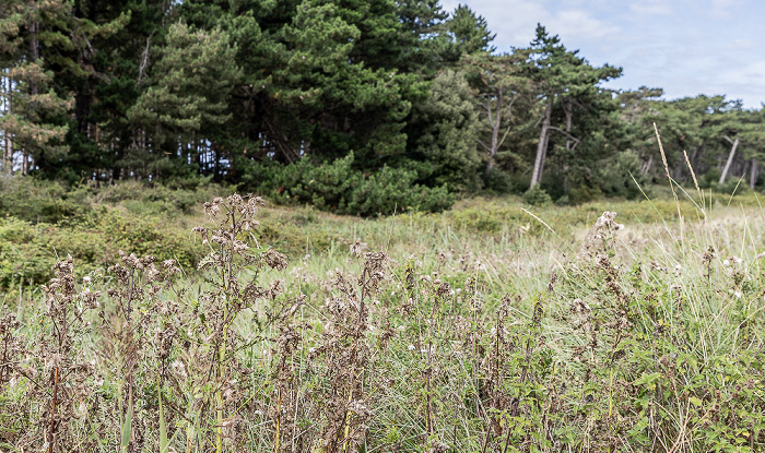 Holkham National Nature Reserve