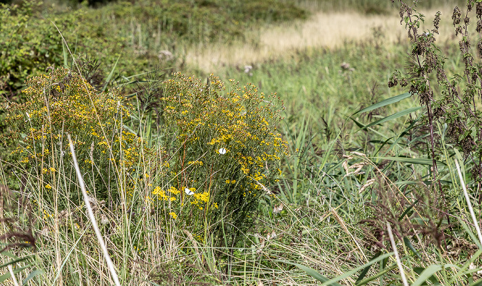 Holkham National Nature Reserve