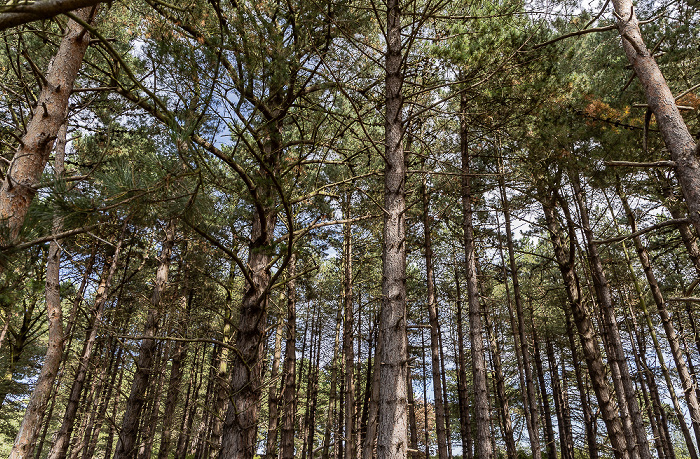 Holkham National Nature Reserve