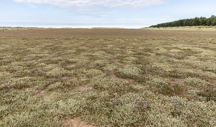 Holkham National Nature Reserve Holkham Beach