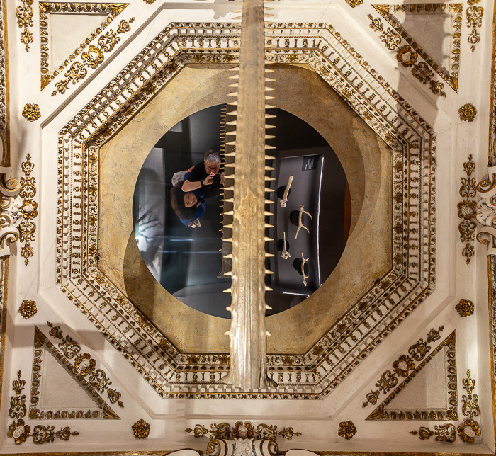 Mantua Palazzo Ducale: Galleria delle Metamorfosi