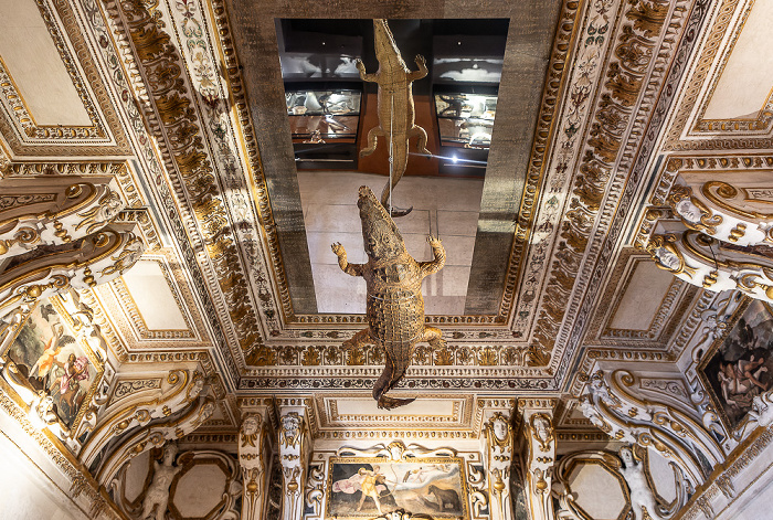 Palazzo Ducale: Galleria delle Metamorfosi Mantua