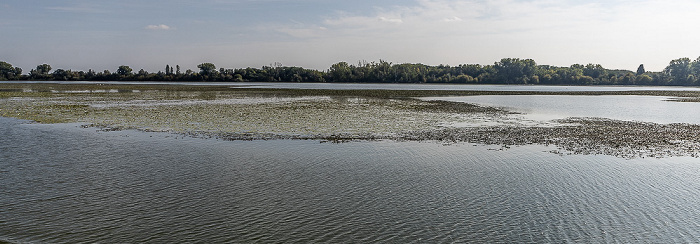 Lago Vallazza (Mincio) Mantua