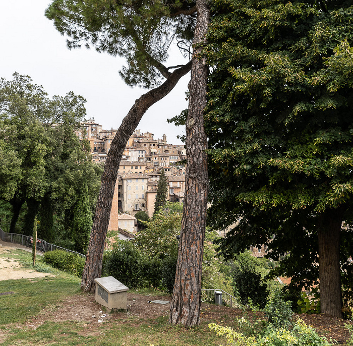 Giardino del Pincetto Perugia