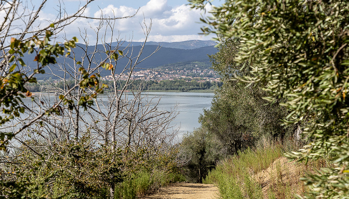 Lago Trasimeno (Trasimenischer See) Isola Maggiore