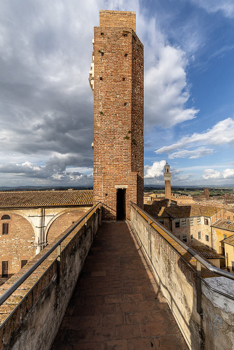 Siena Facciatone Torre del Mangia