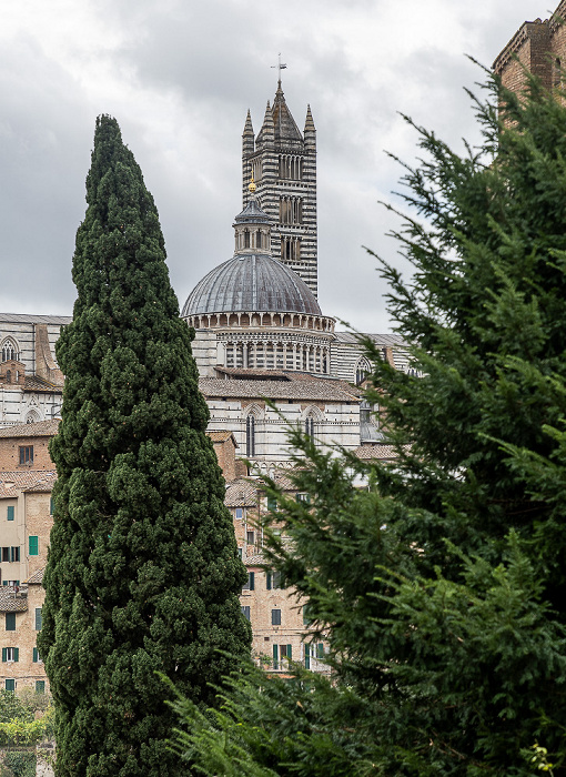 Blick von der Piazza San Domenico: Duomo di Siena (Cattedrale Metropolitana di Santa Maria Assunta)