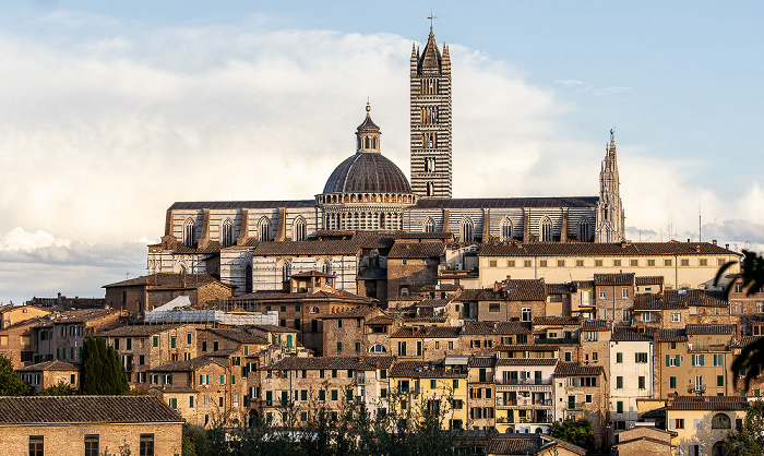 Blick von der Via Bruno Bonci: Duomo di Siena (Cattedrale Metropolitana di Santa Maria Assunta) Siena