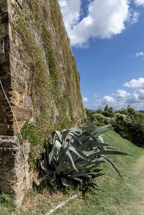 Il Baluardo Colle di Val d’Elsa