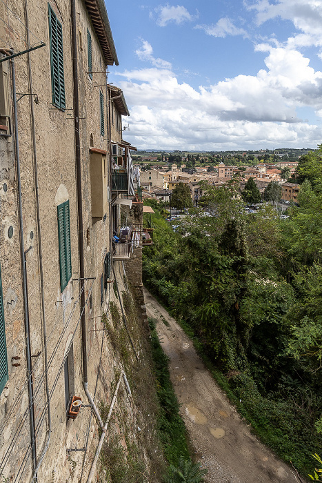 Viale Giacomo Matteotti Colle di Val d’Elsa