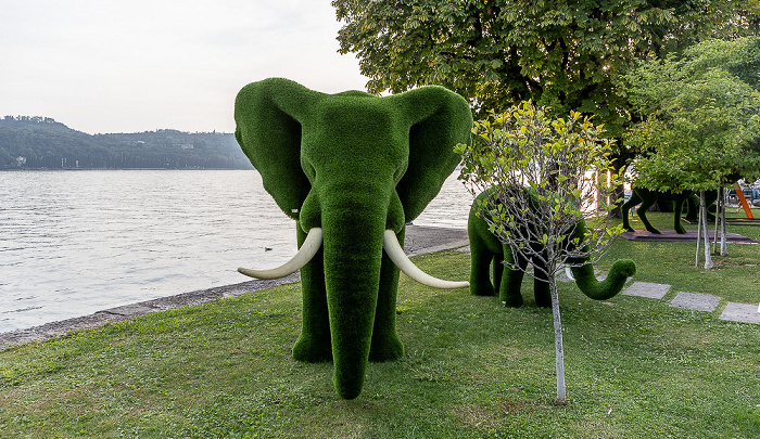 Lungolago Giuseppe Zanardelli: I Giardini del Garda Salò