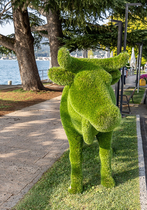 Lungolago Giuseppe Zanardelli: I Giardini del Garda Salò