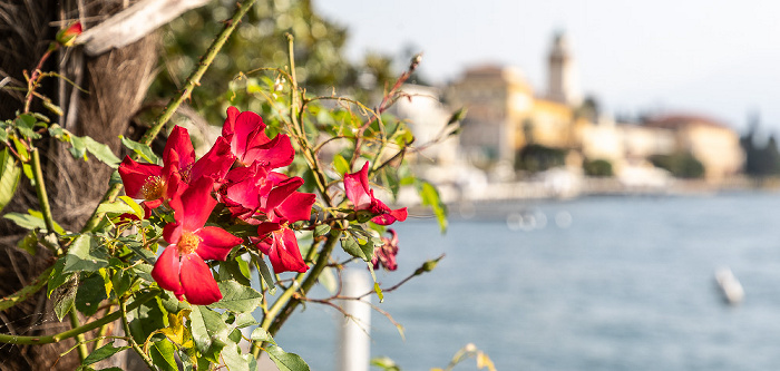 Lungolago Gabriele d'Annunzio Gardone Riviera