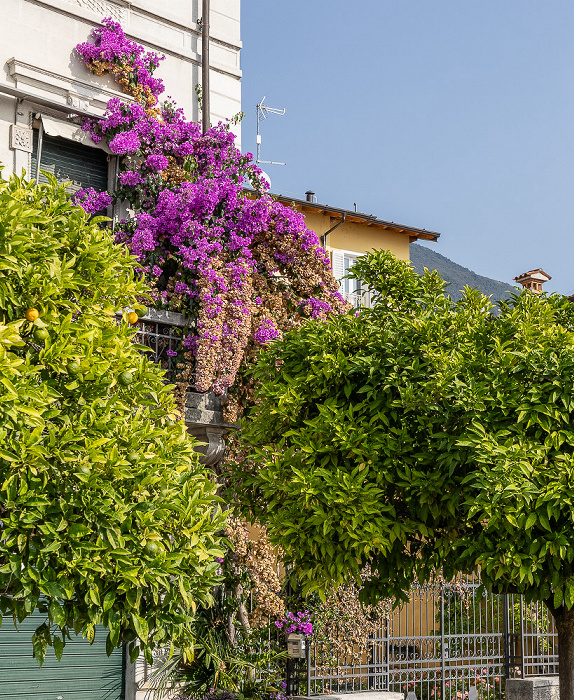 Lungolago Gabriele d'Annunzio Gardone Riviera