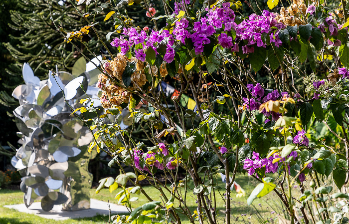 Gardone Riviera Giardino Botanico - André Heller