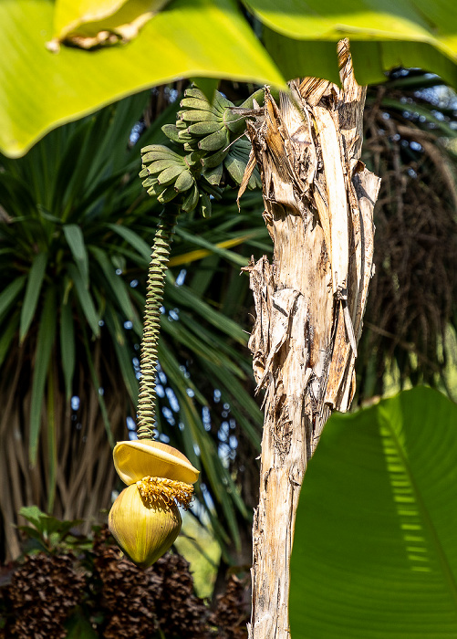 Giardino Botanico - André Heller Gardone Riviera