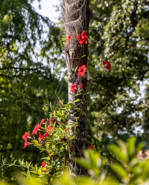 Giardino Botanico - André Heller Gardone Riviera