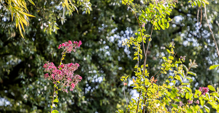 Giardino Botanico - André Heller Gardone Riviera