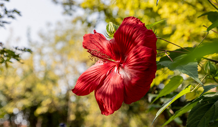 Gardone Riviera Giardino Botanico - André Heller